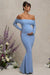 Pretty Perfect | Powder Blue Maternity Ruched Mesh Bardot Maxi Dress